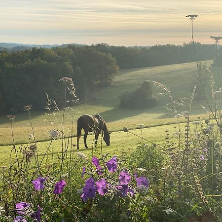 Domaine De Cazal - Gite 2 Pers Avec Piscine Au Coeur De 26 Hectares De Nature Preservee Villa Сан-Сиприан Екстериор снимка